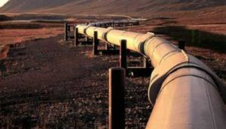 P/L Integrity Management